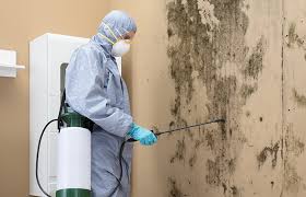 Reliable Rose Hills, CA Mold Inspection Solutions